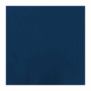 Fasana Lunch Napkin Blue 33x33cm 2ply 1/4 Fold (Pack of 1500) - CK877 - 1