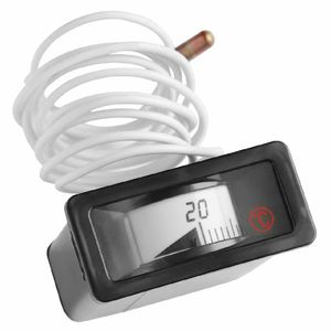 Buffalo Temperature Display - AD428 - 1