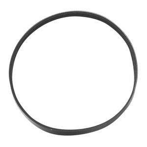 Santos Lower Belt Ref 65526 - AH294 - 1