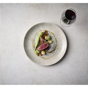 Churchill Studio Prints Fusion Grey Coupe Plate 260mm (Pack of 12) - DX079 - 3