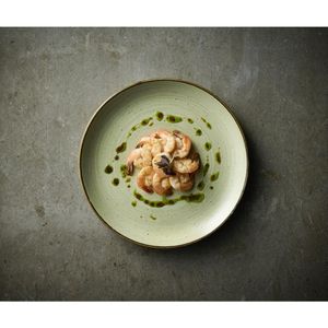 Churchill Stonecast Raw Green Evolve Coupe Plates 260mm (Pack of 12) - HX039 - 3