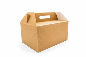 Extra Large Kraft Carry Pack (Case of 60) - 1