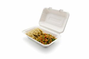 Bagasse Lunch Box - 9 x 6" (Case of 250) - 1