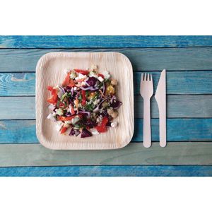 Fiesta Compostable Palm Leaf Plates Square 200mm (Pack of 100) - DK376  - 3