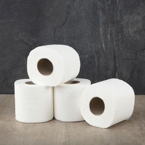 Jantex Premium Toilet Paper 3-Ply (Pack of 40) - GD831  - 4