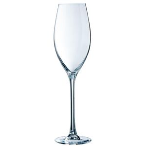 Chef & Sommelier Grand Cepages Champagne Flutes 240ml (Pack of 24) - DH849  - 1