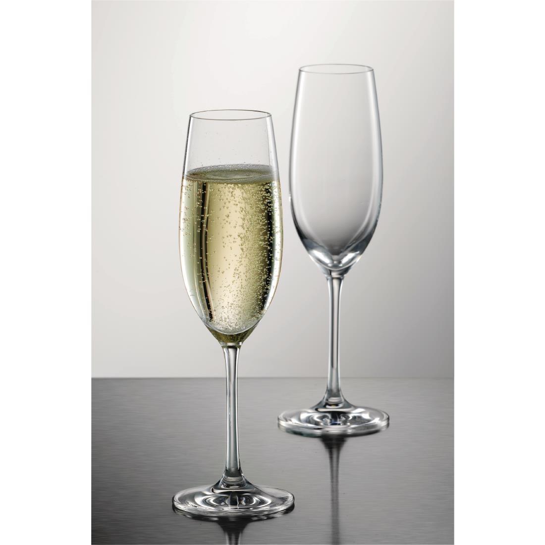 Schott Zwiesel Ivento Champagne flute 230ml (Pack of 6) - GL137  - 2