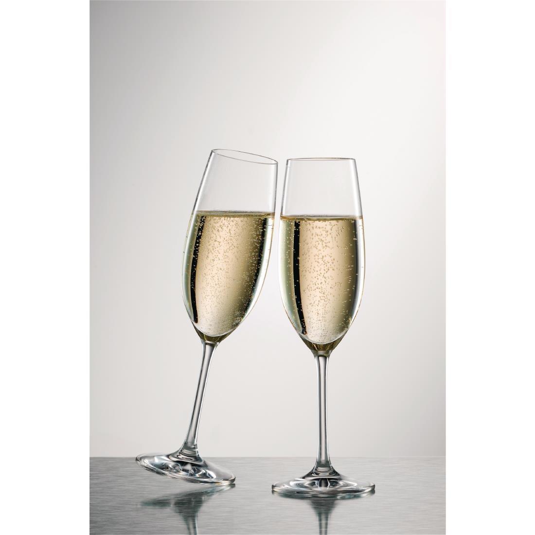 Schott Zwiesel Ivento Champagne flute 230ml (Pack of 6) - GL137  - 3