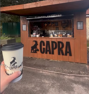 Custom Branded Double Wall 16oz Paper Cups - Custom Printed 16oz Hot Cups - Bespoke Paper Cups 16oz Double Walled - 13