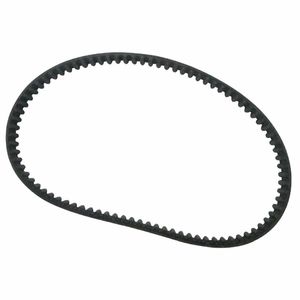 Buffalo Belt - AF929 - 1