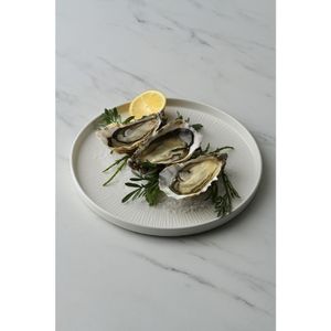 Churchill Bamboo White Walled Plate 210mm (Pack of 6) - DX128 - 3