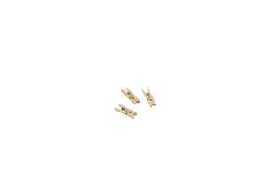 Miniature Wooden Pegs 2.5cm/ 1"  (1000pcs) - 1
