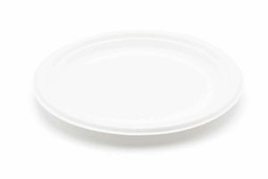 10" Bagasse Plate (Case of 500) - 3