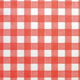 Box Of 500 Embossed Paper Placemats 40x30cm Red And White Checked - 713759 - 1