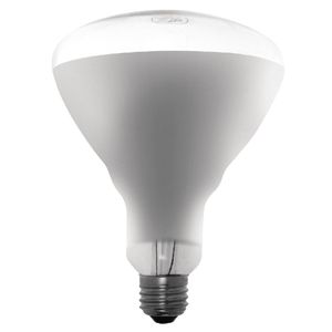 Buffalo 250W Shatterproof Infrared Heat Lamp ES - AE307  - 1