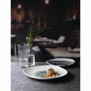 Churchill Studio Prints Mineral Blue Centre Organic Round Plates 264mm (Pack of 12) - FC126 - 3