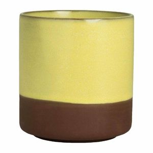 Maham Studio Spice Saffron Cup 240ml (Pack of 12) - VV3677 - 1