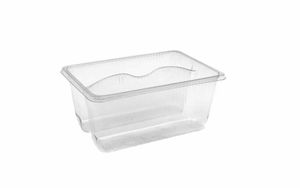 Plastic Sandwich Bag Insert (Case of 1000) - 1