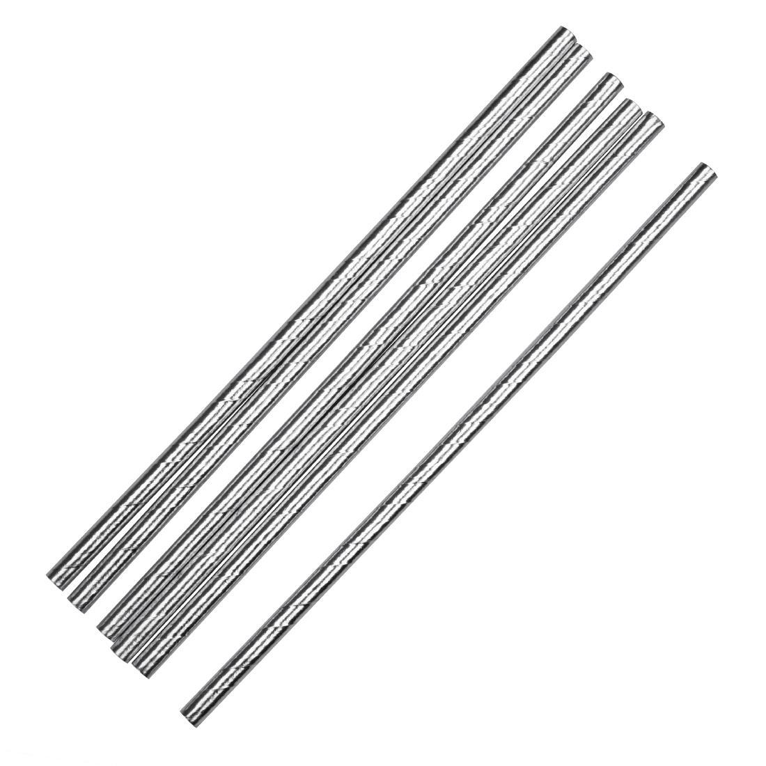 Fiesta Green Compostable Paper Straws Silver (Pack of 250) - DE929  - 2