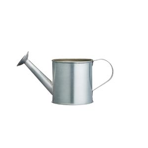 Small Watering Can Chip Cup - CL249  - 1