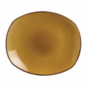 Steelite Terramesa Mustard Spice Plates 255mm (Pack of 24) - V7137 - 1