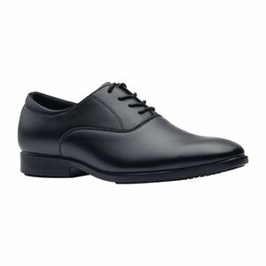 Shoes for Crews Ambassador - Size 43 - BB579-43 - 1