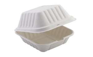 Enviroware Compostable Bagasse Hinged Food Containers 152mm x 152mm 5 x 5" - Pack of 400 - HBB55 - 1