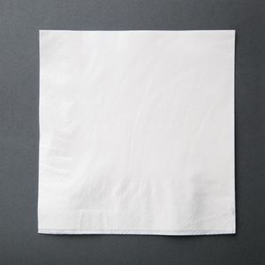 Fiesta Recyclable Lunch Napkin White 30x30cm 2ply 1/4 Fold (Pack of 2000) - CM562  - 1