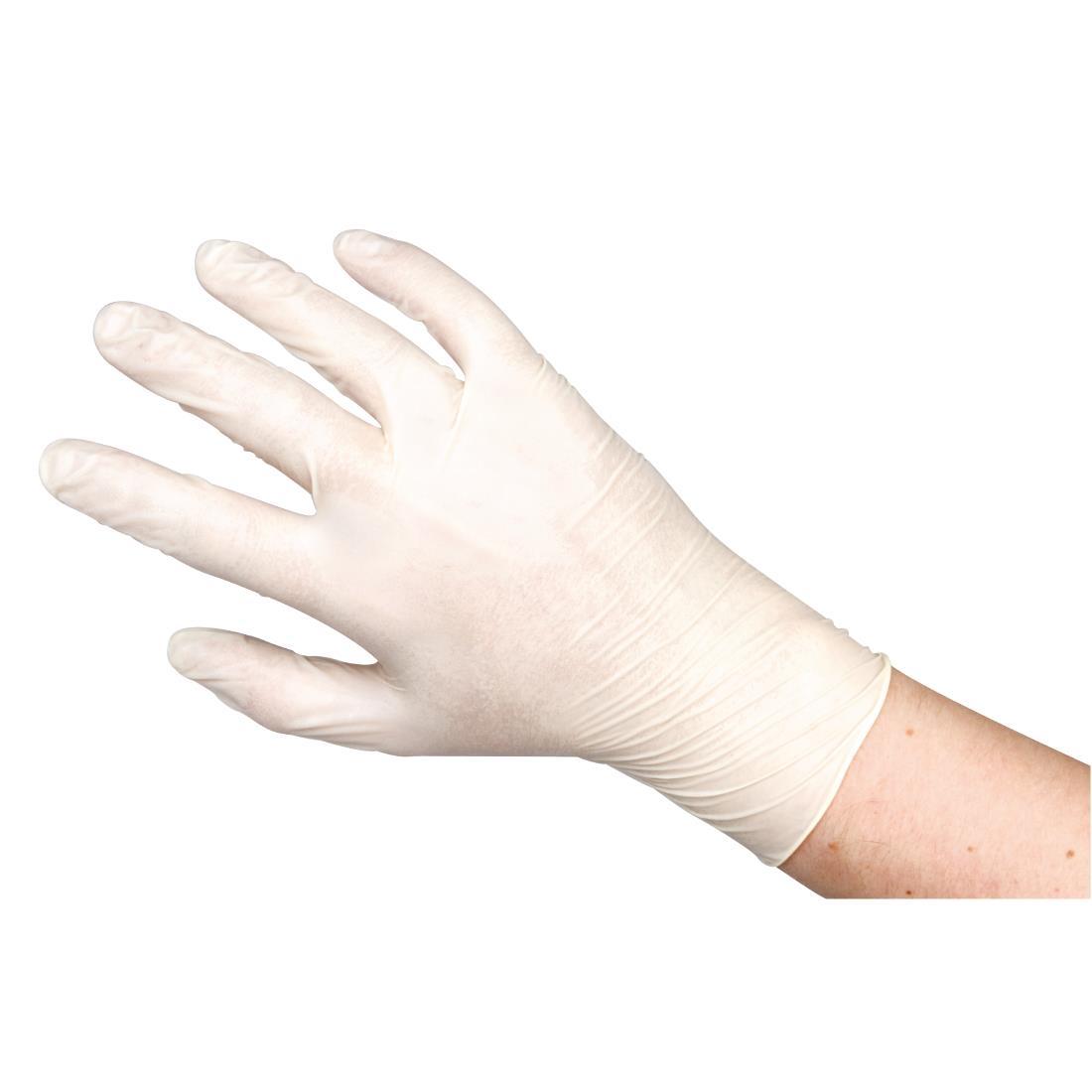 Powder-Free Latex Gloves Clear Large (Pack of 100) - Y262-L  - 2