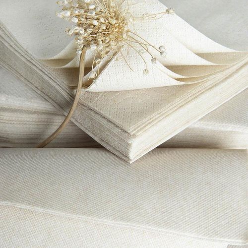 Box Of 1,200 (24 Packets Of 50) 2-ply Plain Brown Kraft Paper Napkins 33x33cm - 713721 - 2