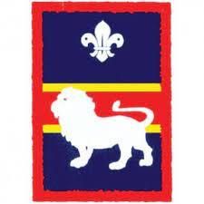 lion scout patrol badge