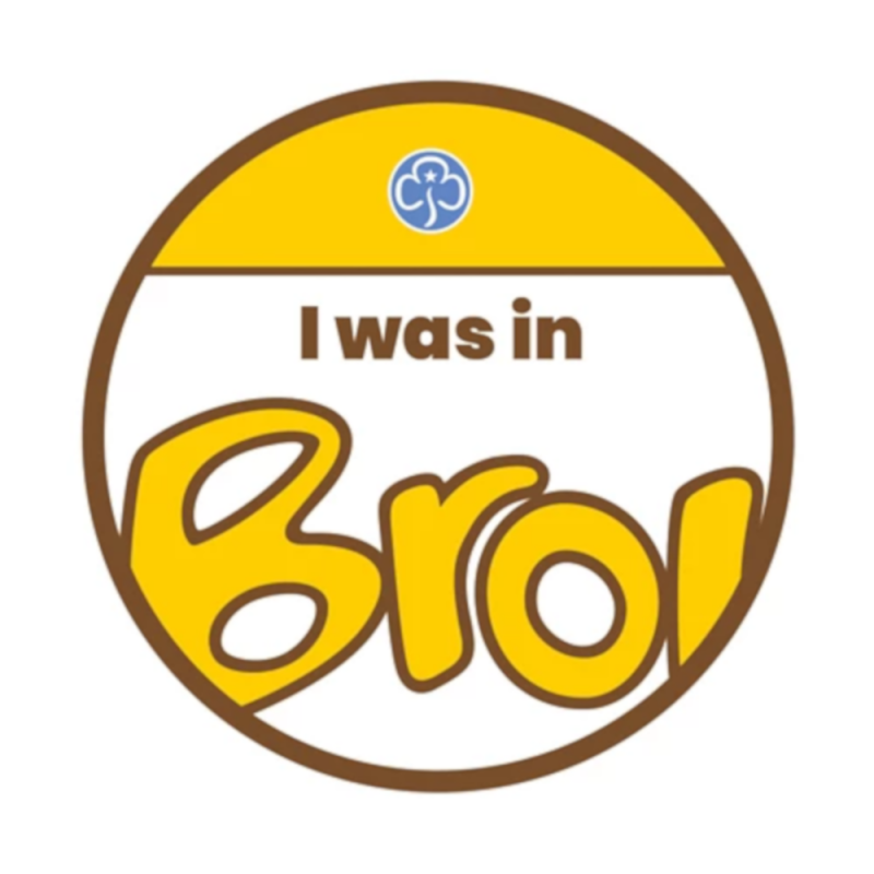 I was in Brownies Badge Girl Guiding
