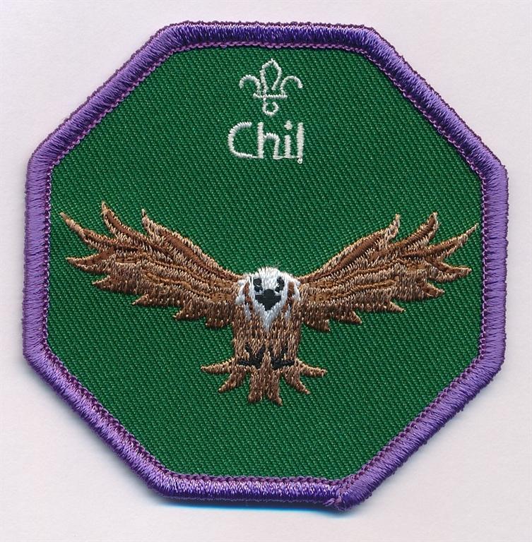 Chil Cub Scouts Fun Badge