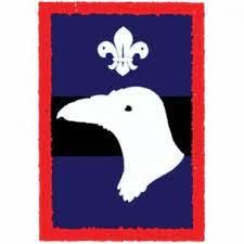 raven scout patrol badge