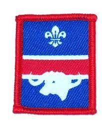 buffalo scout patrol badge