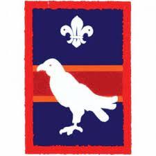Falcon patrol badge scout