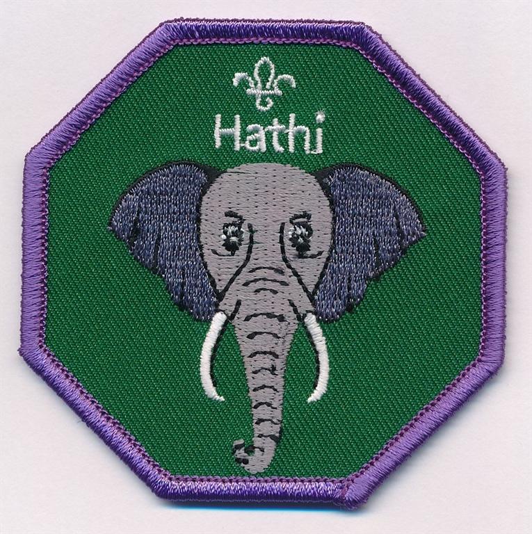 Hathi Cub Scouts Fun Badge