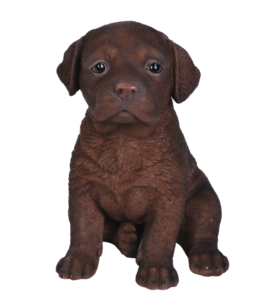 Vivid Arts Pet Pals Chocolate Labrador Puppy