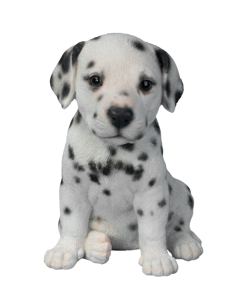 Vivid Arts Pet Pals Dalmatian Puppy