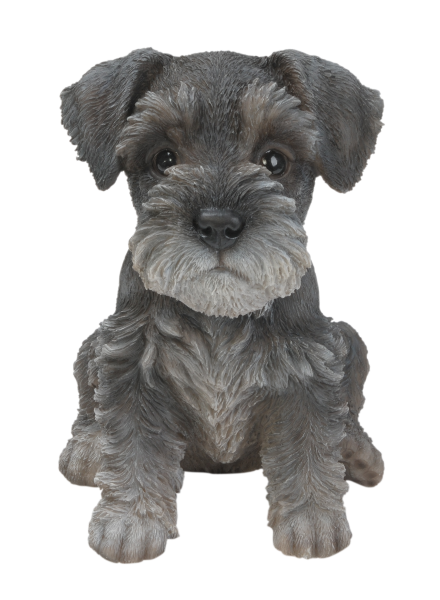 Vivid Arts Pet Pals Miniature Schnauzer Puppy
