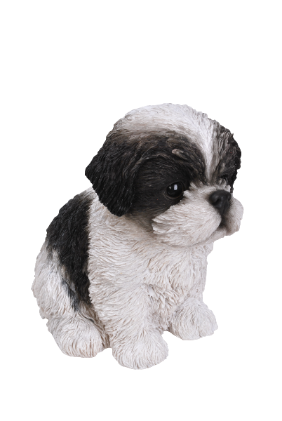 Vivid Arts Pet Pals ShihTzu Puppy Black and White