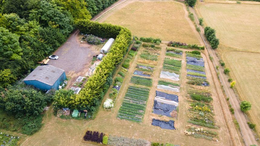 Plantpassion flower farm at Hill top farm from the air