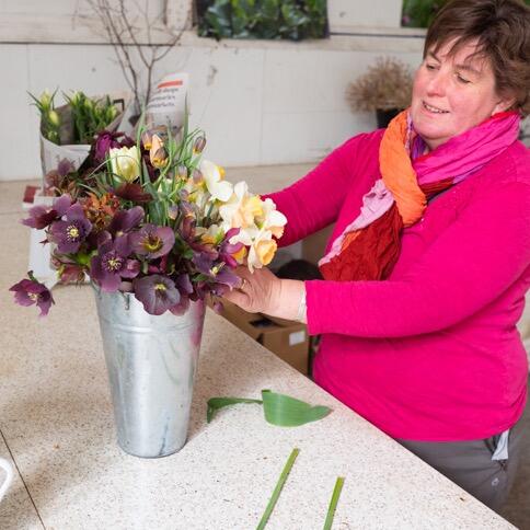 Spring Hellebores and tulips being arranged in a bucket