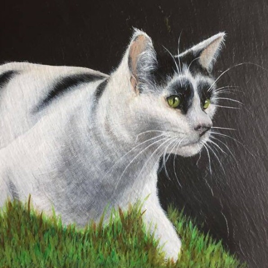 Cat Square Slate Portrait