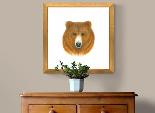 Butternut Bear framed above chest of drawers