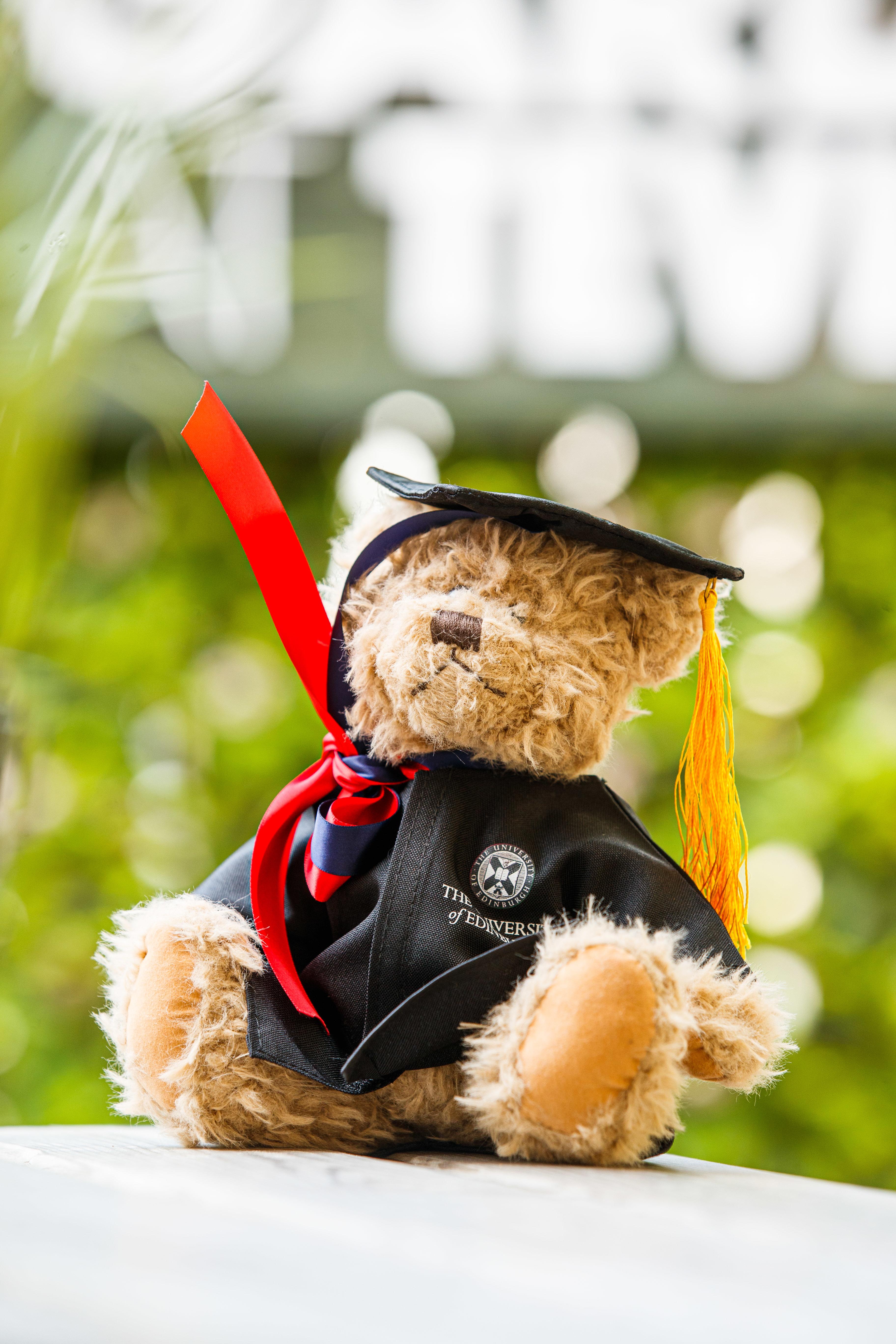 Graduation teddy cheap