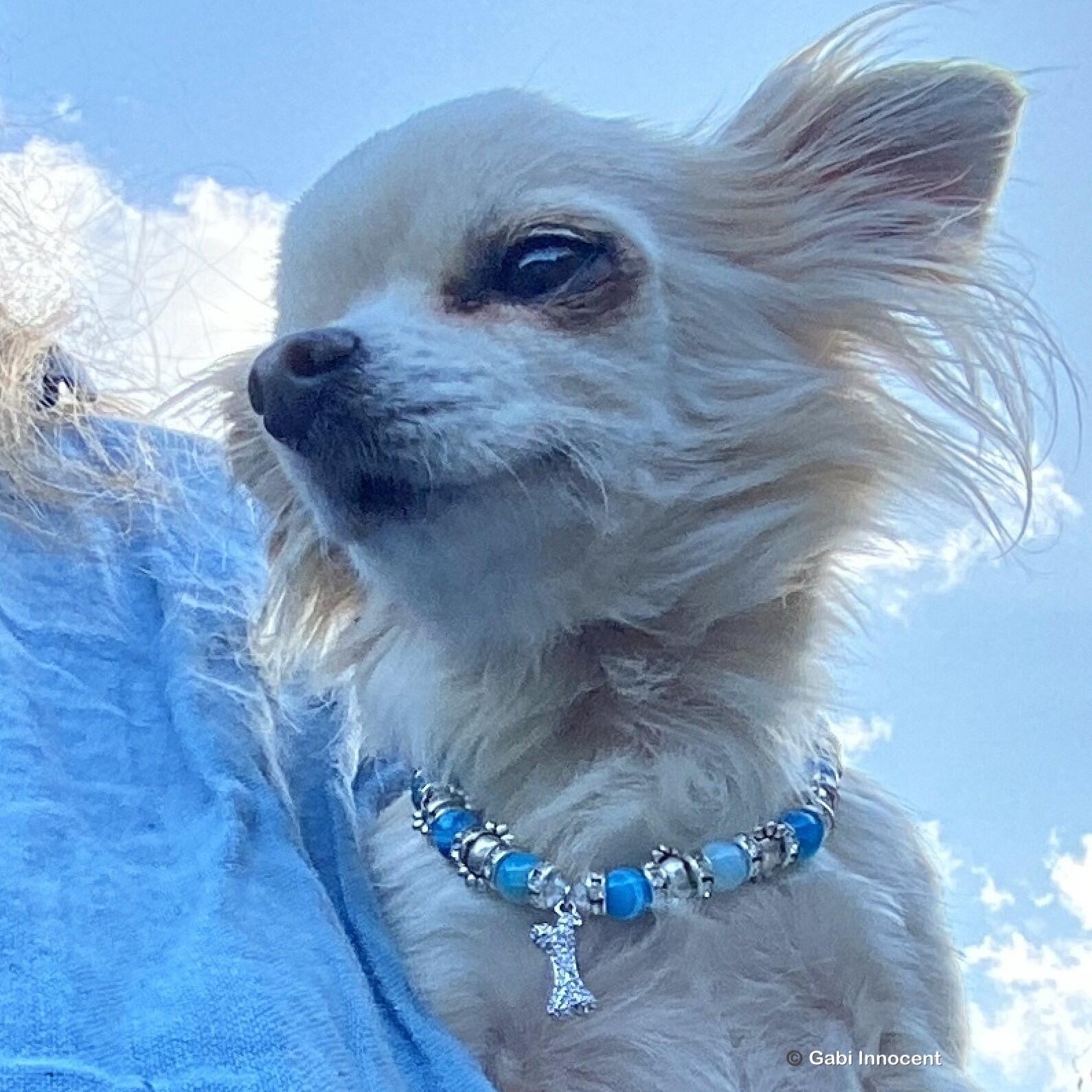 Blue Crystal Bone Dog Collar Charm