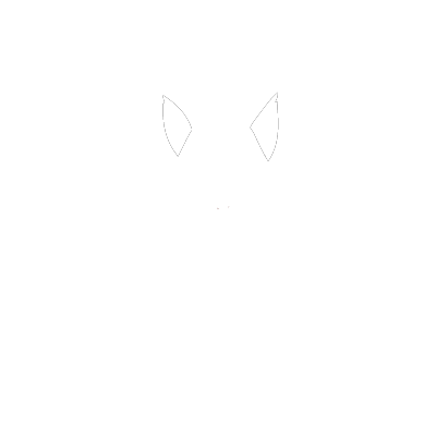 Connifox Adventure Park