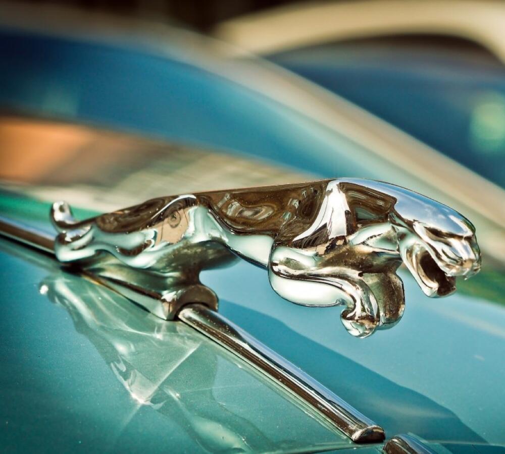 Classic Jaguar E Type Tracker