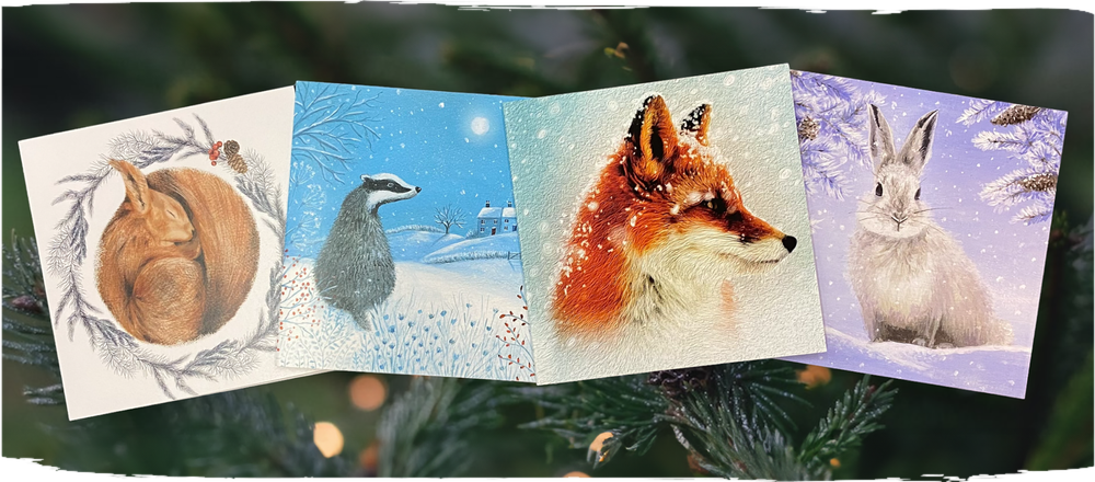 <h1>Christmas</h1><p>Festive cards, delicious chocolates, cosy candles and lots more to help you celebrate a compassionate Christmas.</p> | Shop Christmas